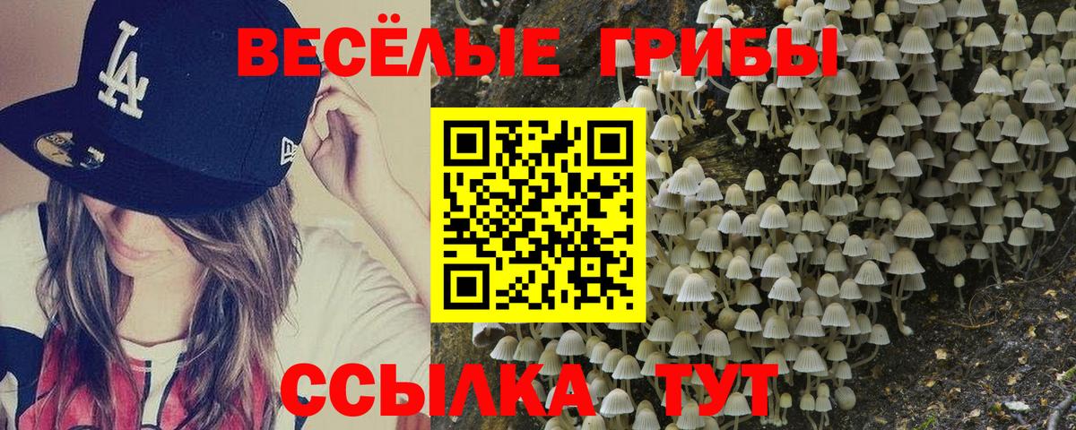 Псилоцибиновые грибы мицелий  Вход с VPN  Семилуки  Галлюциногенные грибы GOLDEN TEACHER 